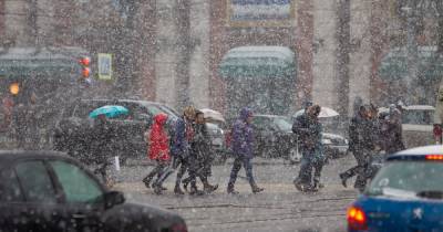 Калининградцев предупредили о налипании мокрого снега и гололедице в ближайшие часы
