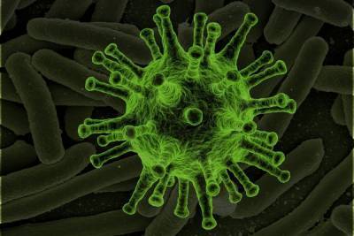 Новый штамм коронавируса нашли в восьми странах Европы