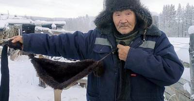 В Якутии начали шить лифчики для коров - ren.tv - респ. Саха