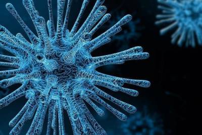 Во Франции - первый случай заражения новым штаммом коронавируса