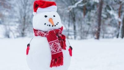 Предновогодний сюрприз: веселая компания вытоптала снеговика во весь двор