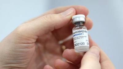 Гинцбург ответил на вопрос об аллергической реакции на вакцину «Спутник V»