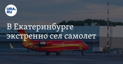 В Екатеринбурге экстренно сел самолет