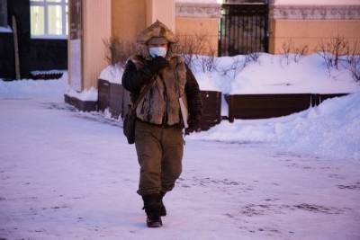 Резкое потепление придет в Новосибирск в начале недели