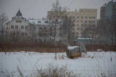 Надсадин пропихивает жителям кампус у парка Южно-Сахалинска