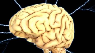 Ученые рассказали, как SARS-CoV-2 проникает в мозг