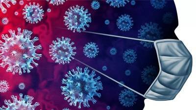 78 новых случаев коронавируса выявили в Сосновом Бору за минувшие сутки