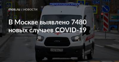 В Москве выявлено 7480 новых случаев COVID-19