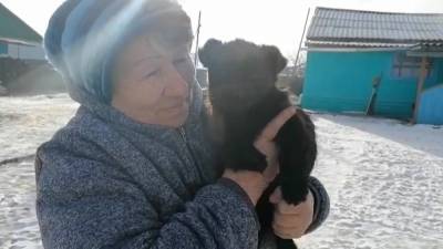 В Забайкальском крае родился пятилапый щенок.