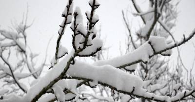 В Алуксне и Гулбене глубина снежного покрова достигла 14 см