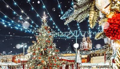 Смоленские пограничники помешали иностранцам весело встреть Новый год в Москве