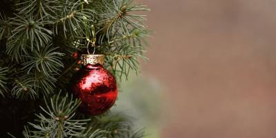 В Сахнине подожгли две рождественские ели