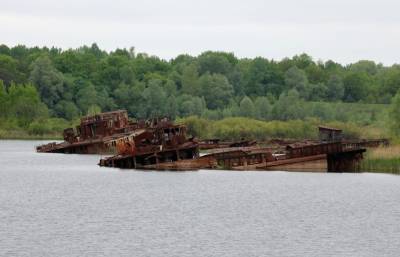 Guardian: миллионы украинцев могут пострадать от работ на реке Припять