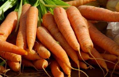Названы причины низкой цены на морковь