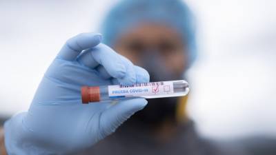 Медики обследовали на коронавирус 42 458 петербуржцев за последние сутки