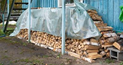 В Москве выполнили 30 тыс заявок по доставке дров горожанам на домашнем режиме