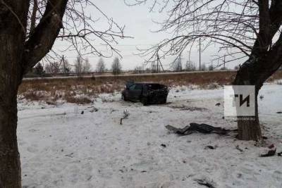 В Татарстане в ДТП на трассе пострадали два человека