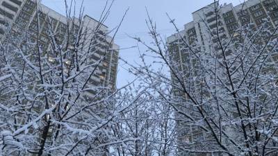 Оттепель ожидается в Москве в последний день уходящего года