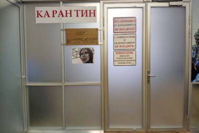 Жириновский повесил фото воронежской «Алёнки» на дверь своей приемной