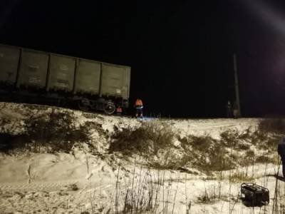 Локомотив грузового поезда из-за карстового провала сошел с рельсов под Арзамасом