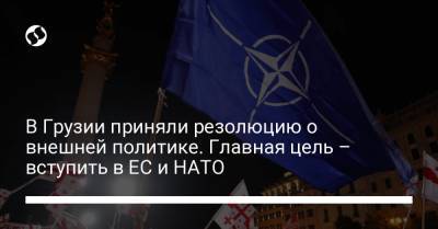 В Грузии приняли резолюцию о внешней политике. Главная цель – вступить в ЕС и НАТО
