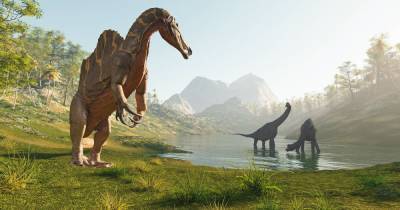 Жнец смерти, курицазавр и другие древние ящеры, которых только недавно открыли ученые