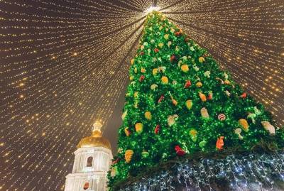 Самые-самые елки Украины: анктиковидная, от сглаза и блатная