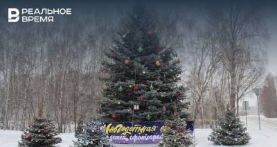 В Зеленодольске установили «многодетную» новогоднюю елочку