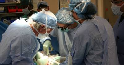 В Украине с 1 января заработает государственная информсистема трансплантации: что это даст