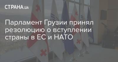 Парламент Грузии принял резолюцию о вступлении страны в ЕС и НАТО
