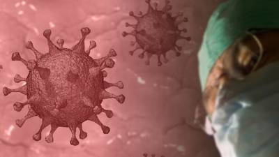 Число заражений коронавирусом в мире превысило 80 млн случаев