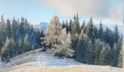 В Карпатах выпал рождественский снег (ФОТО)
