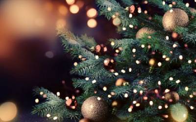 В Нидерландах создали самую маленькую рождественскую елку, высота которой - 4 нанометра