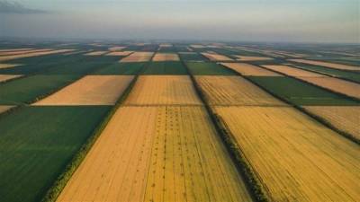 Скрытые поля: спутниковый анализ выявил 6 миллионов "теневых" посевов