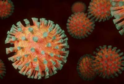Раскрыта главная особенность нового штамма коронавируса