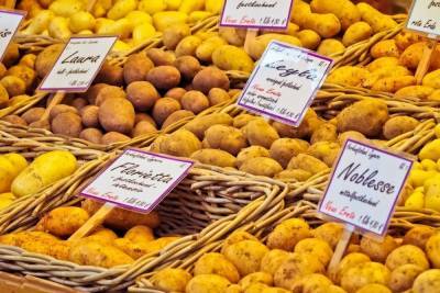 Названа главная опасность картофеля для гипертоников