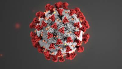 Вирусолог рассказал, как защититься от нового штамма коронавируса