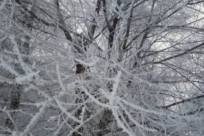 Снежный вихрь с ветром ожидается в Оренбургской области