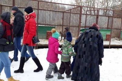 Костромская педагогика: дети из костромского садика №79 накормили бездомных собак и кошек