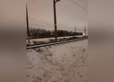 Катался и соскользнул: в Петербурге 11-летний мальчик попал под поезд и остался без ног