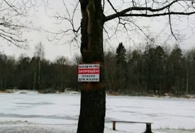 Гатчинцам запретили выходить на лед в Приоратском парке
