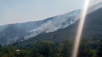 Власти Сирии выделили 12 млн долларов пострадавшим от пожаров жителям Латакии - newinform.com - Сирия - Дамаск - Сирия - провинция Латакия - Латакия