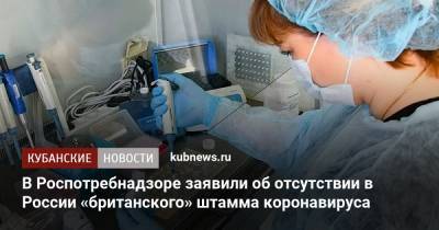 В Роспотребнадзоре заявили об отсутствии в России «британского» штамма коронавируса