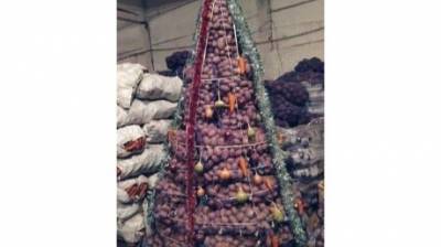 Глас народа | А какая у вас: пензенец поделился фото новогодней елки из овощей