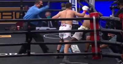 Едва не выбил за канаты: мексиканский боксер нокаутировал соперника за две минуты (видео)