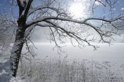 В Татарстане 28 декабря обещают снег и туман