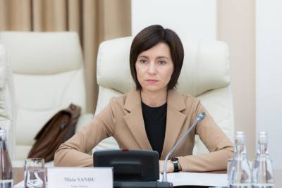 Санду хочет провести досрочные выборы в парламент Молдавии весной или летом 2021 — Экс-советник президента