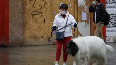 В Великобритании из-за коронавируса резко участились случаи похищения собак