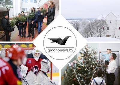 Алтайские маралы в Лидском районе, хоккейный матч «Немана» и путешествие по Новогрудку. Главное за 27 декабря