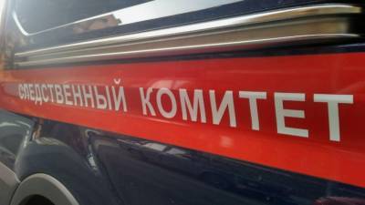 СК Новосибирска проверяет ПДН после инцидента с семьей из "помойного дома"